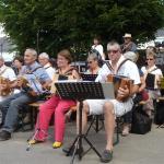 Accordéonistes Diatoniques